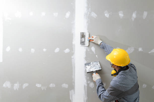 Best Drywall Sanding and Smoothing  in Fayette, IA